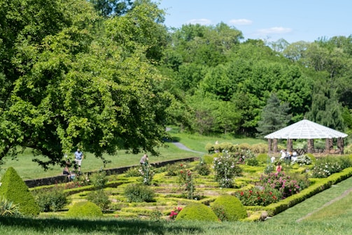 Residents enjoying a peaceful garden walk surrounded by lush greenery and blooming flowers.