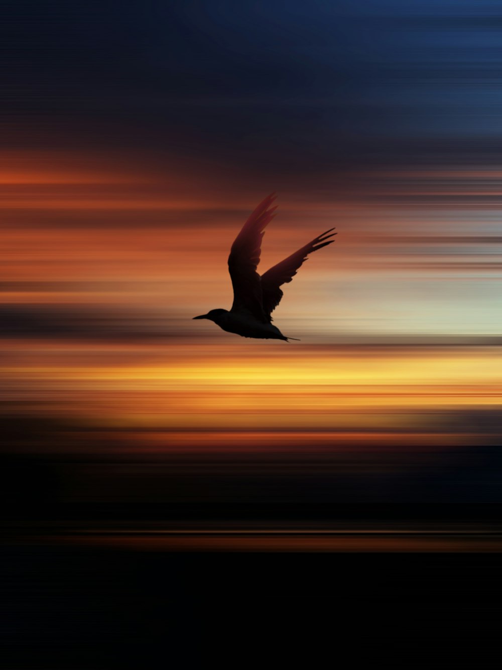 日没時に飛んでいる鳥のシルエット
