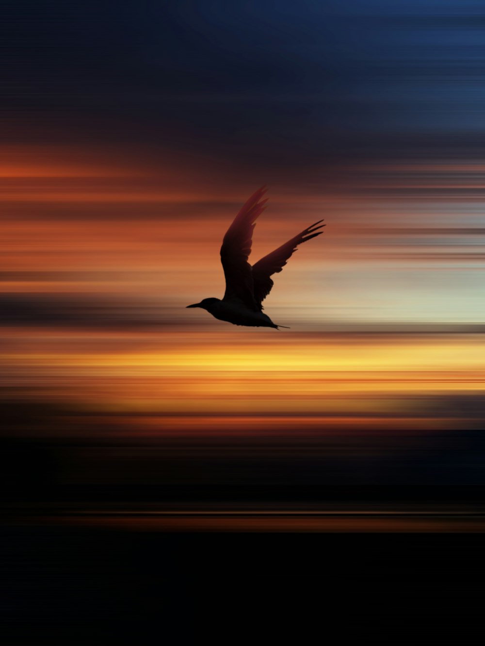 silhouette of bird flying during sunset