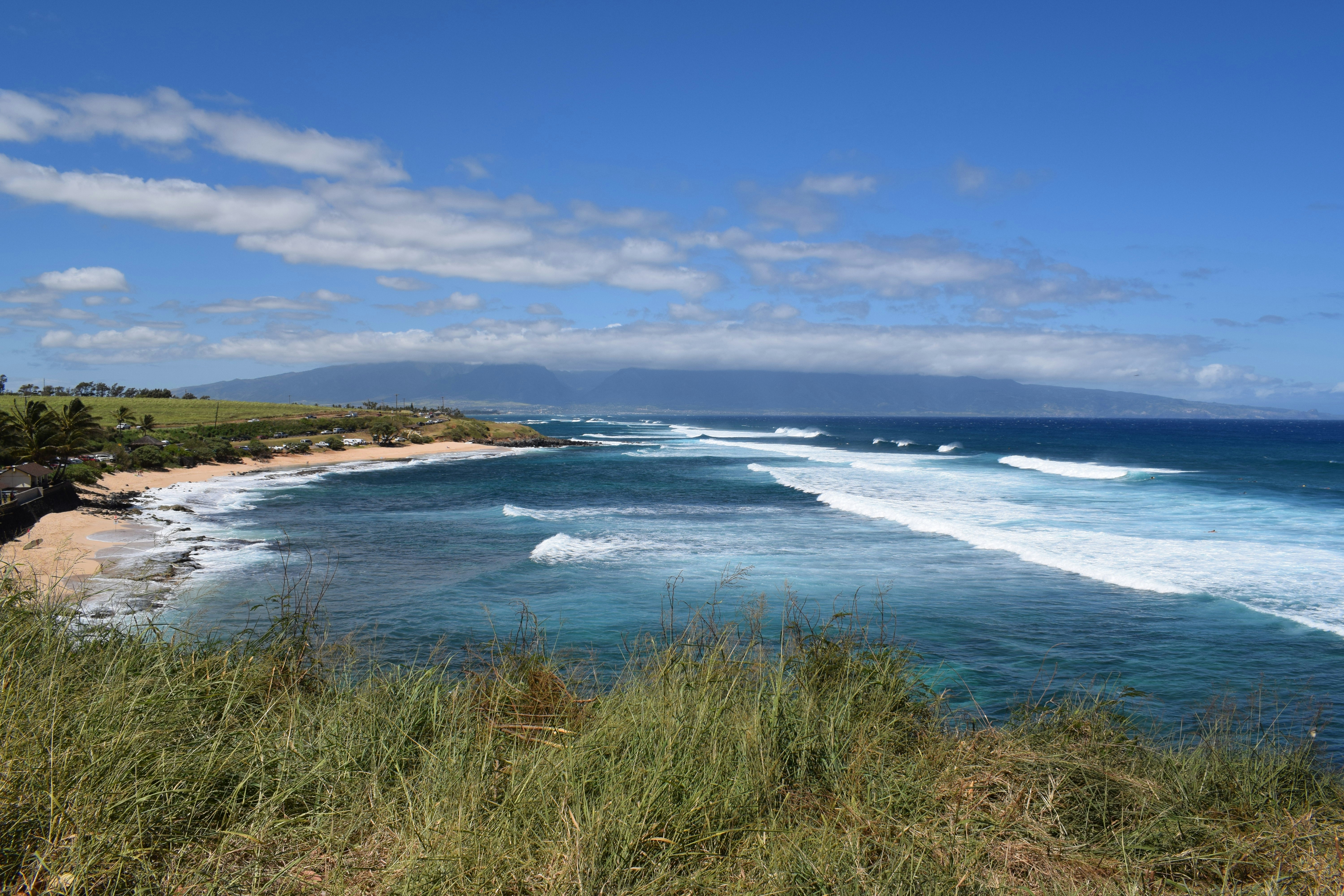 green grass near sea under blue sky during daytime, 