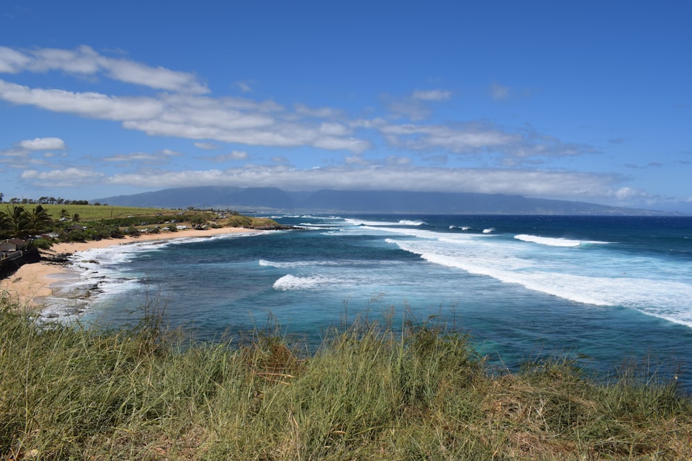 green grass near sea under blue sky during daytime