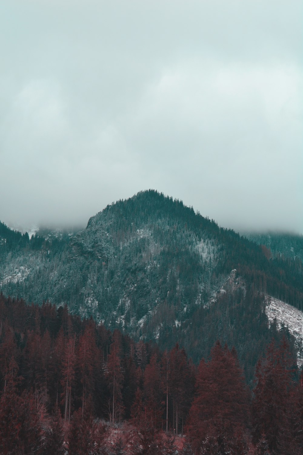 green trees on mountain under white clouds during daytime