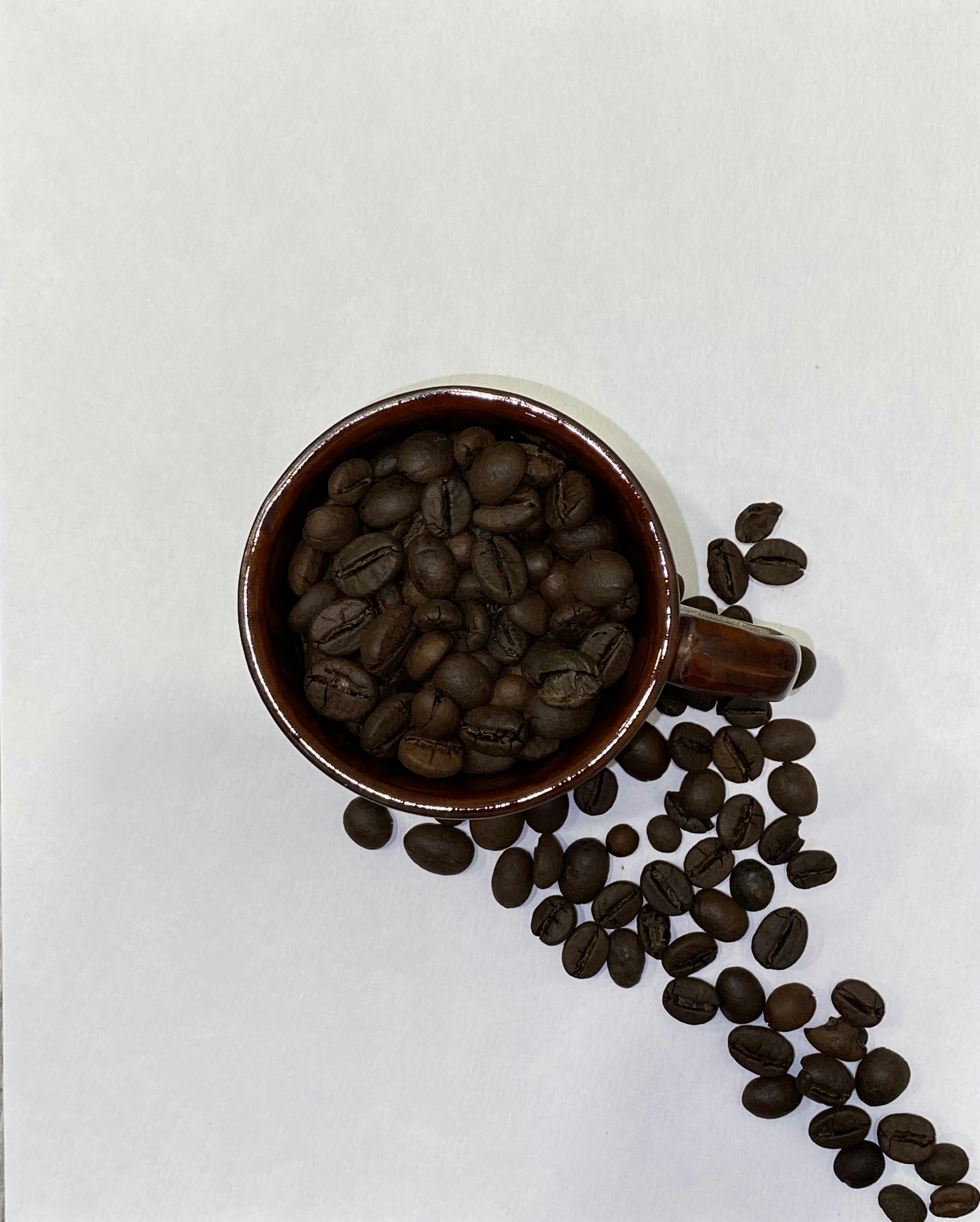 Photo by photographybymanan