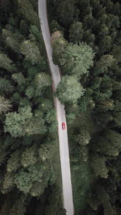 white and red road sign