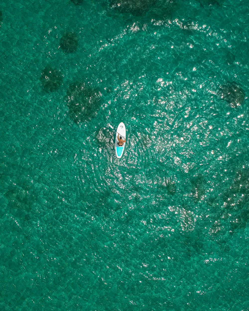Vista aérea del barco blanco y rojo en el mar verde durante el día