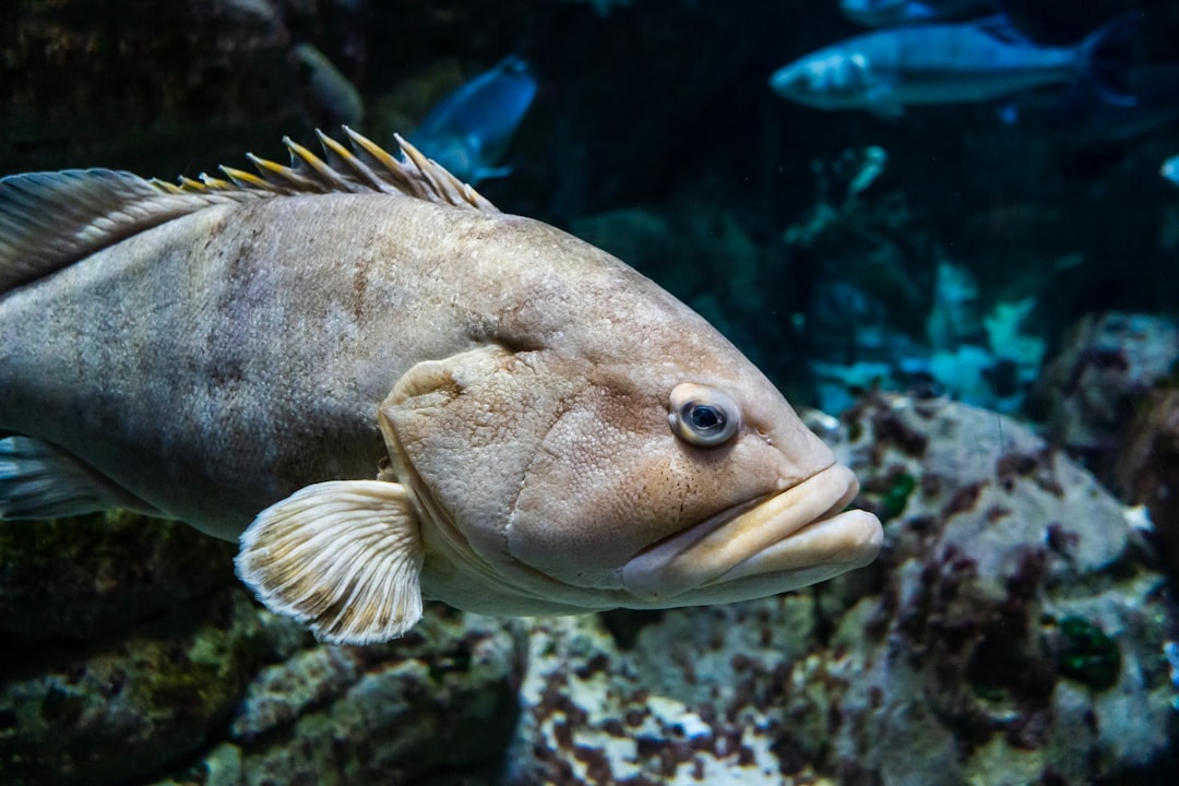 Underwater photo spot Paris Rambouillet