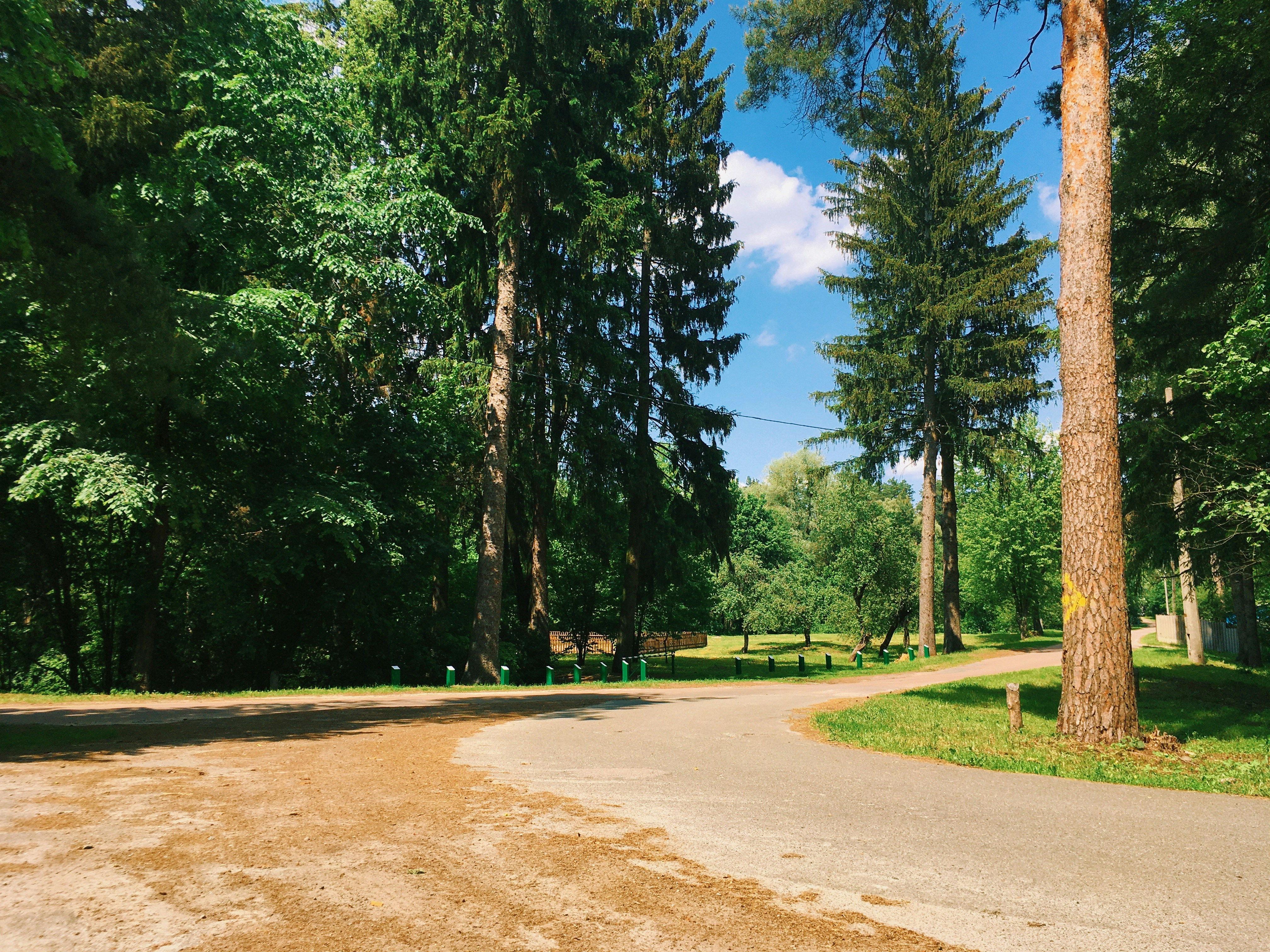 Photo by ingvar_erik