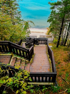 brown wooden bridge over green trees during daytime