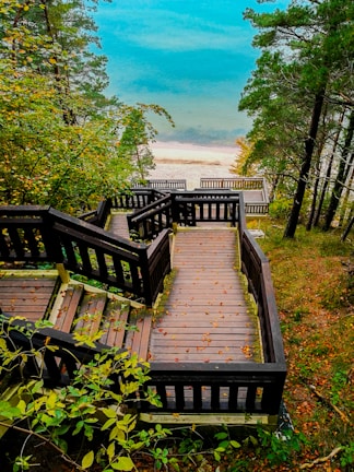brown wooden bridge over green trees during daytime