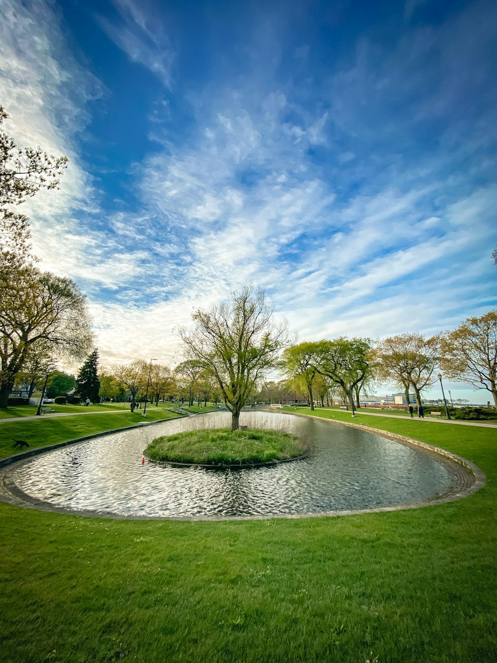 green grass field with trees under blue sky and white clouds during daytime