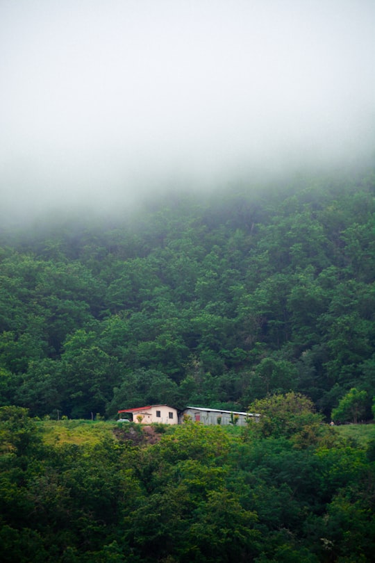 white and brown house surrounded by green trees in Aliabad-e-Katul Iran