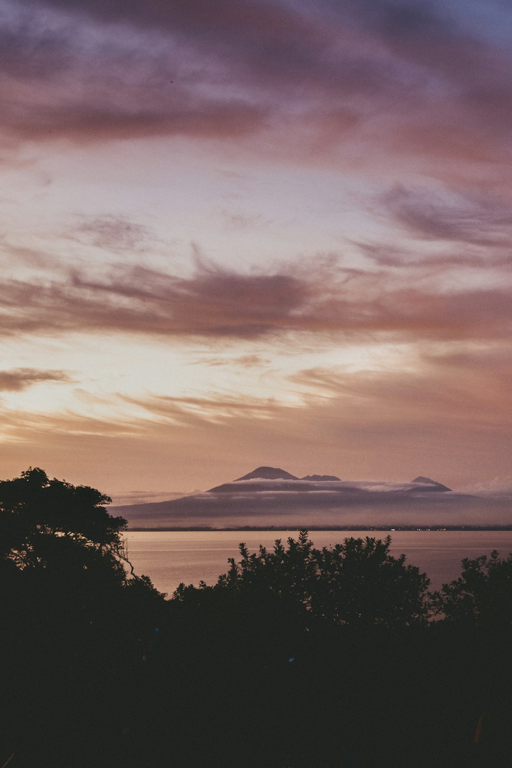 silhouette of trees near mountain during sunset