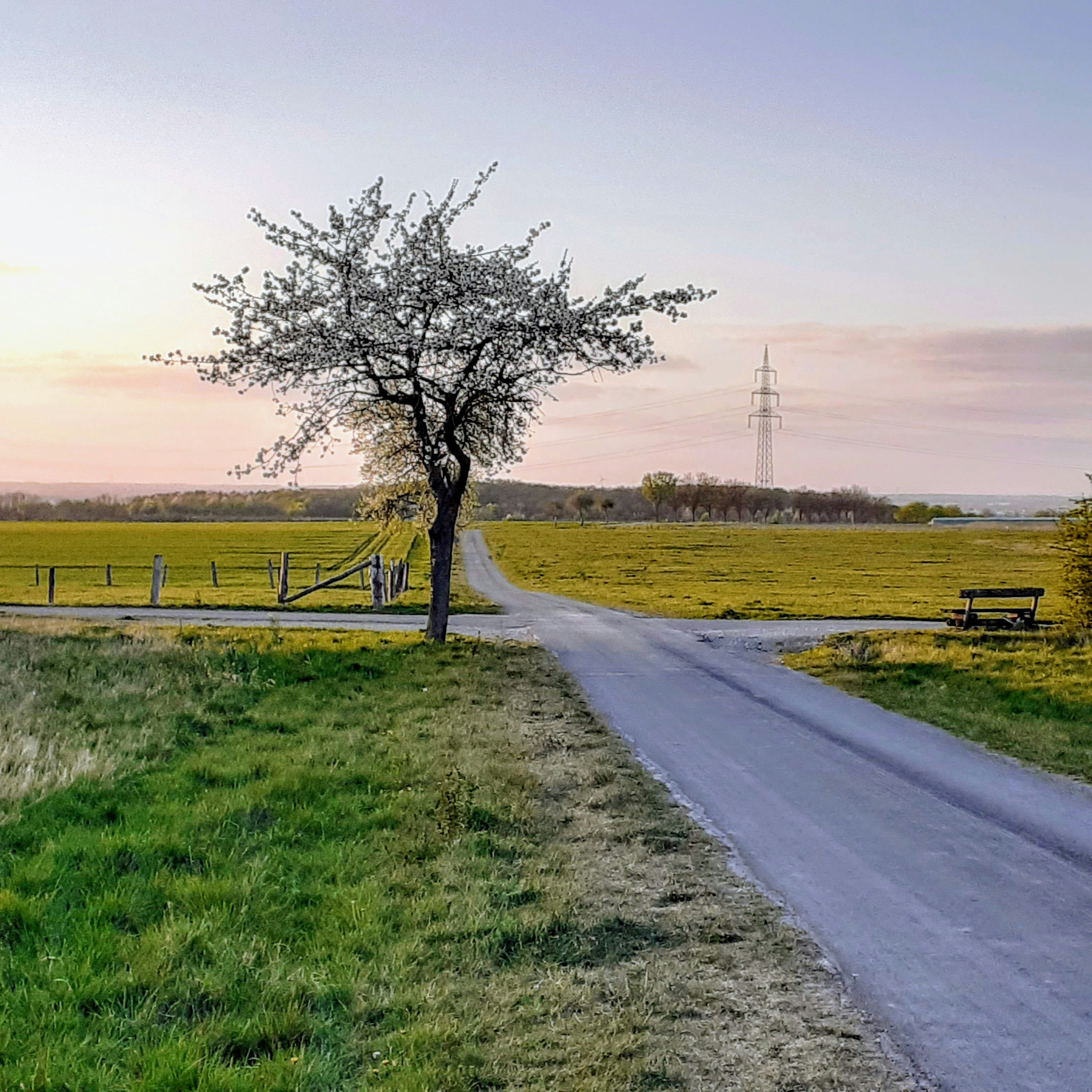 JSA e-Book menyediakan pelbagai bahan bacaan secara digital elektronik