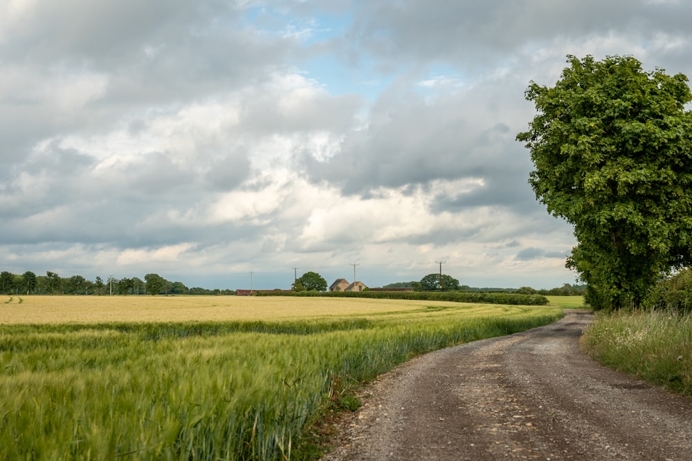 green grass field under white clouds during daytime