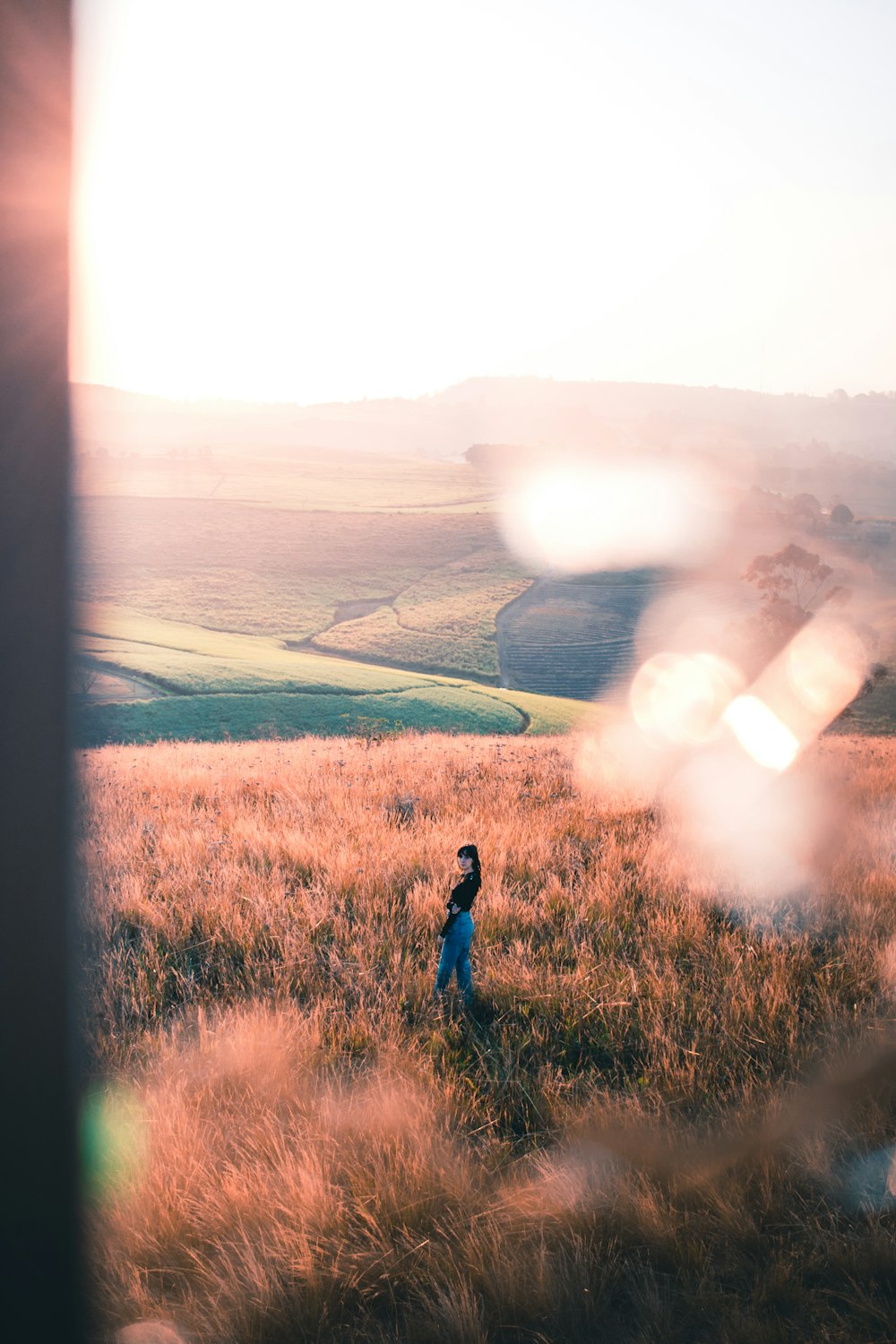 person in black jacket standing on green grass field during daytime