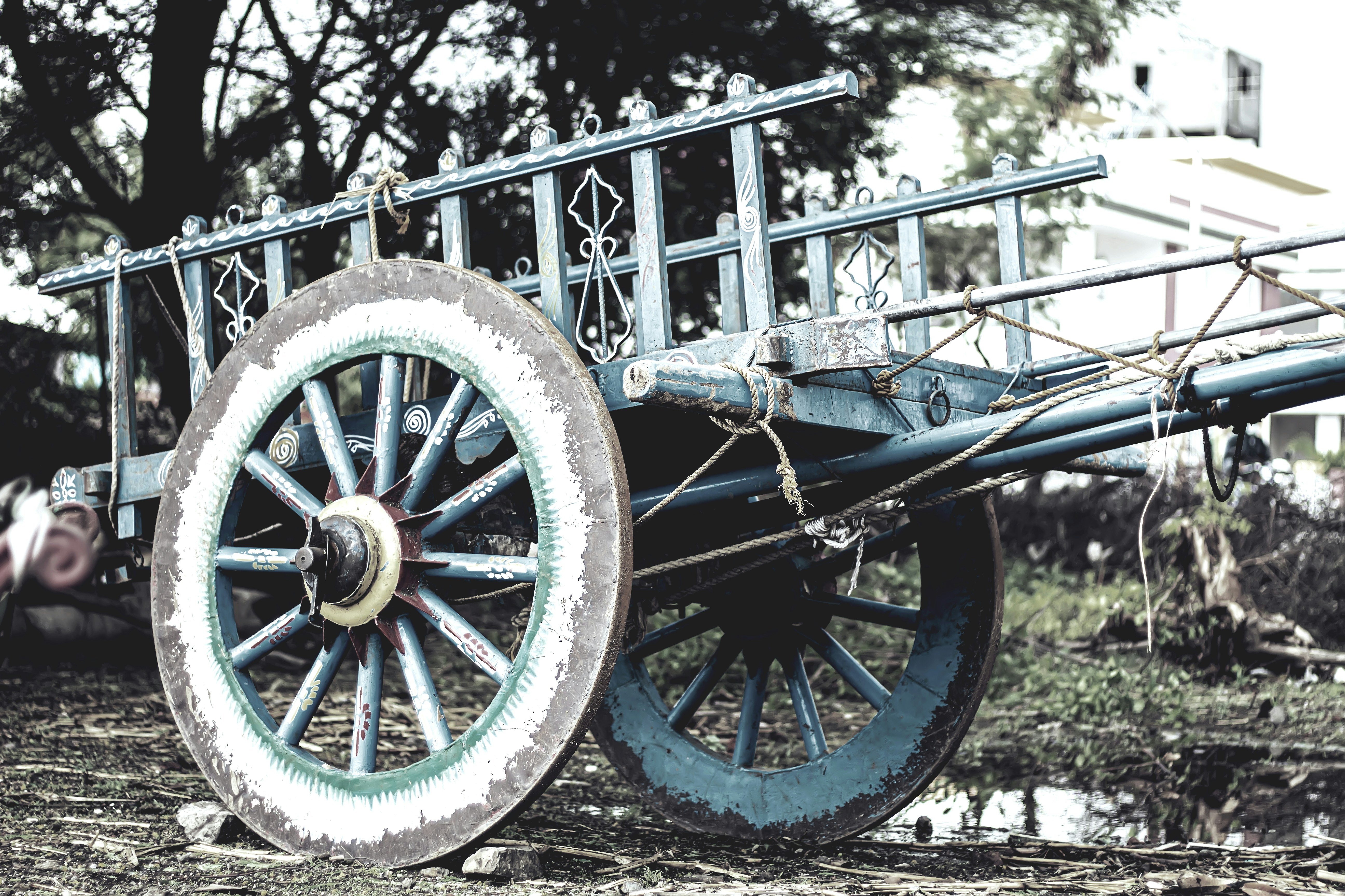 Photo by avinash_123