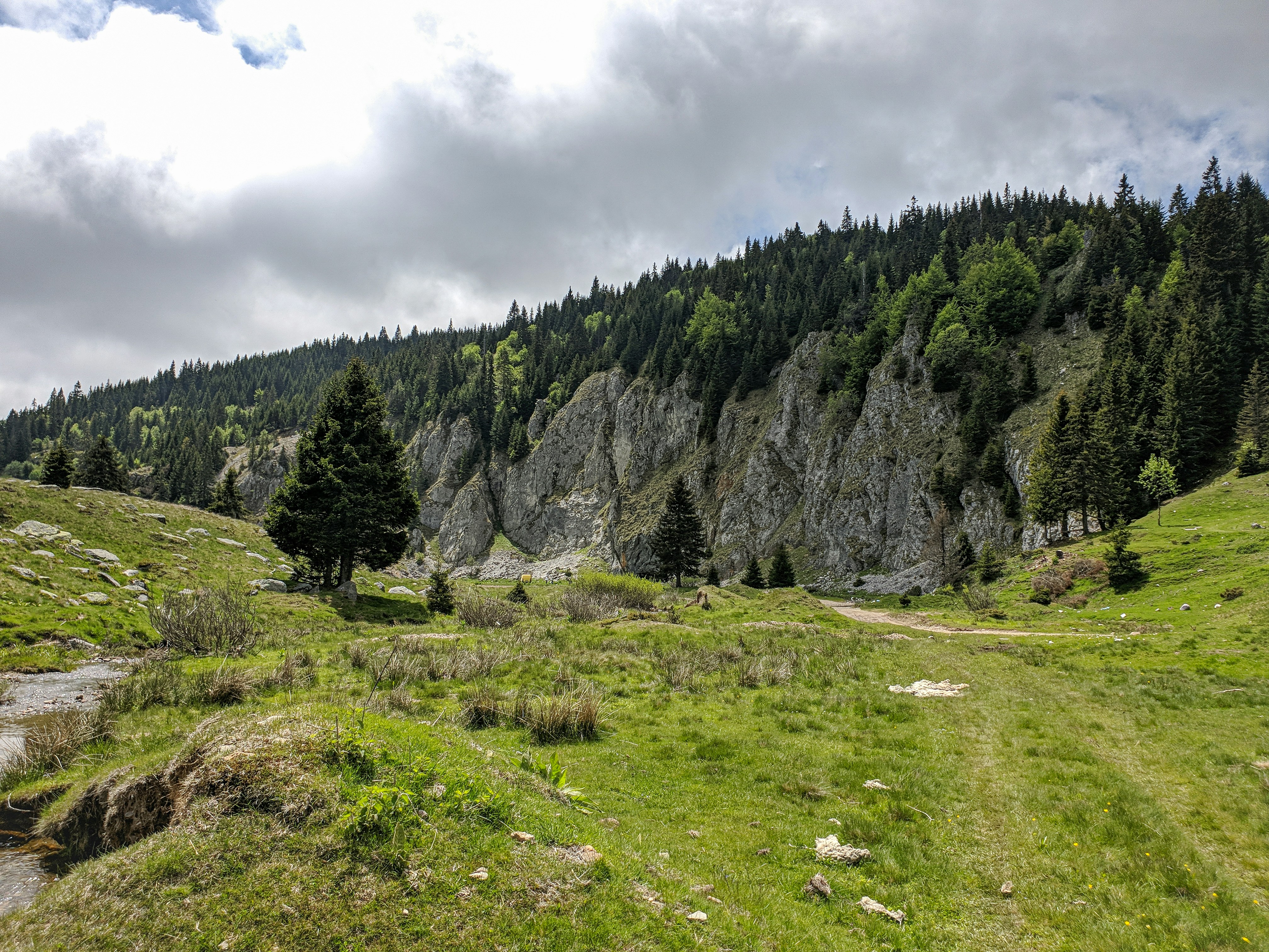 Photo by alberthyseni