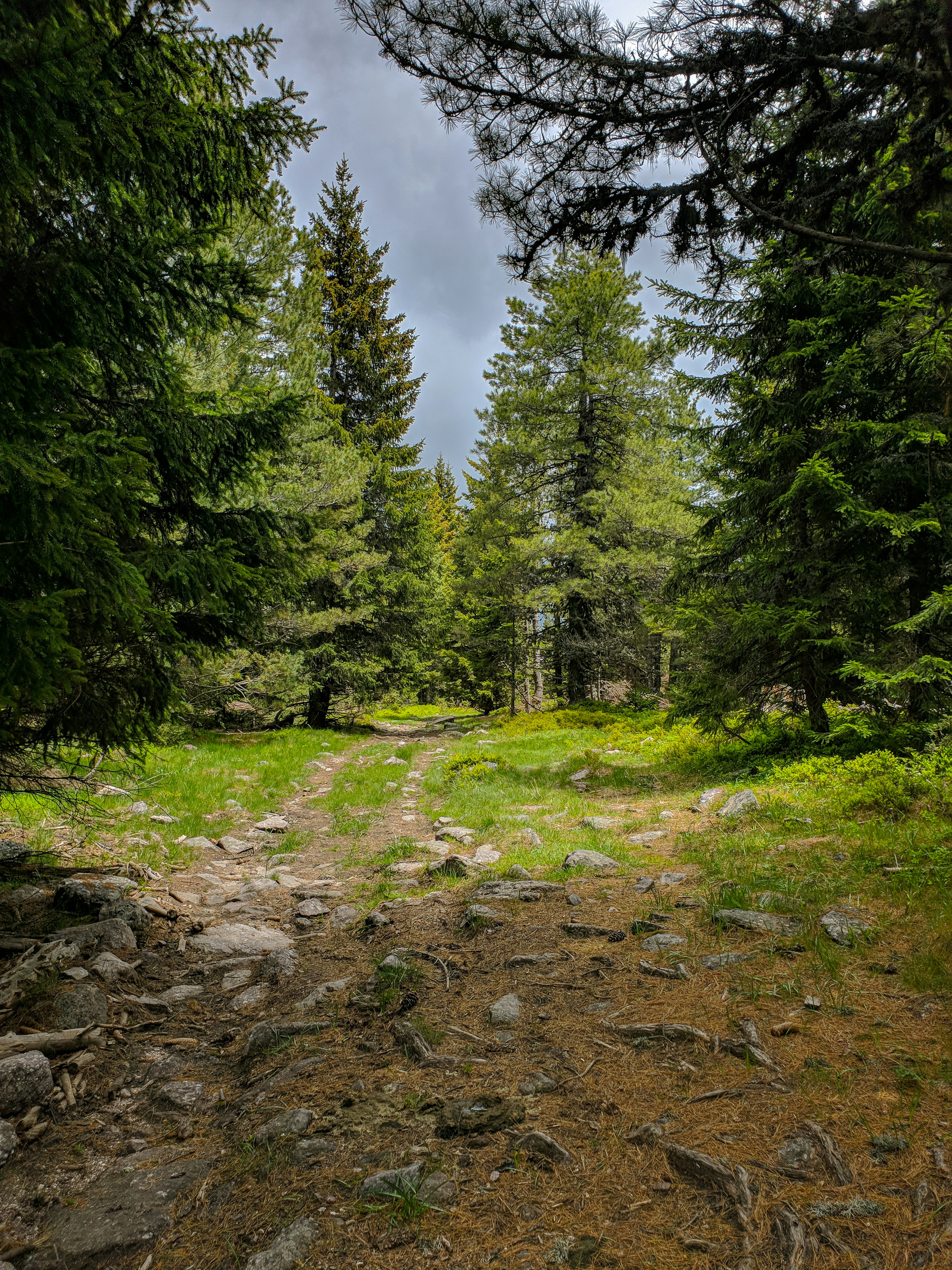 Photo by alberthyseni