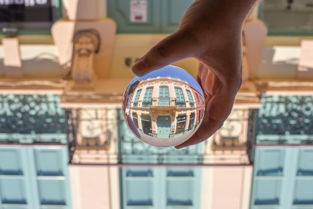 person holding blue and white ball