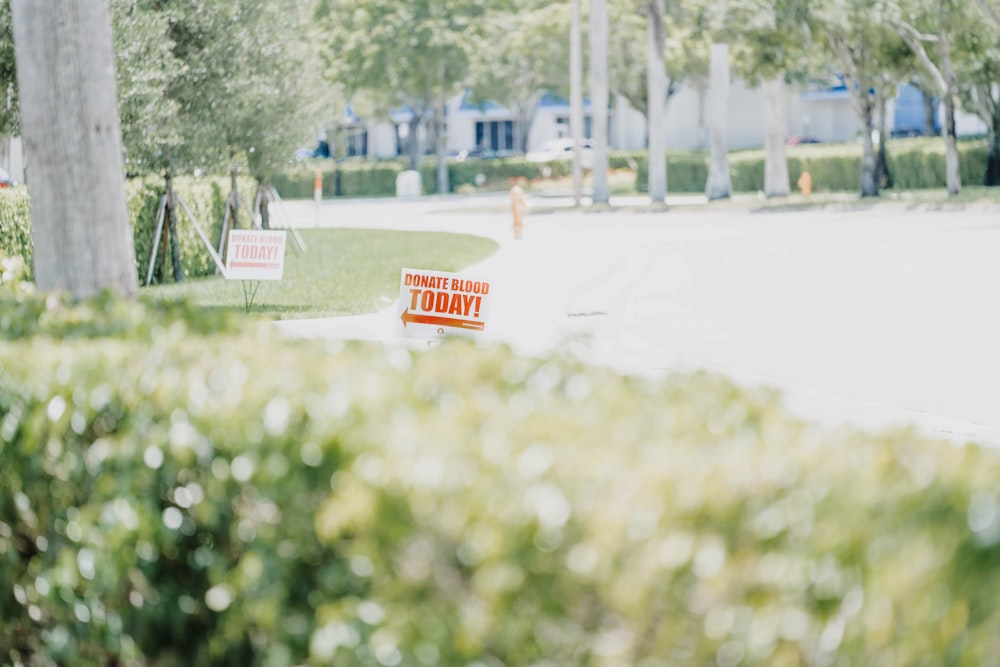 rot-weißer Plastikeinkaufswagen auf grünem Rasenplatz tagsüber