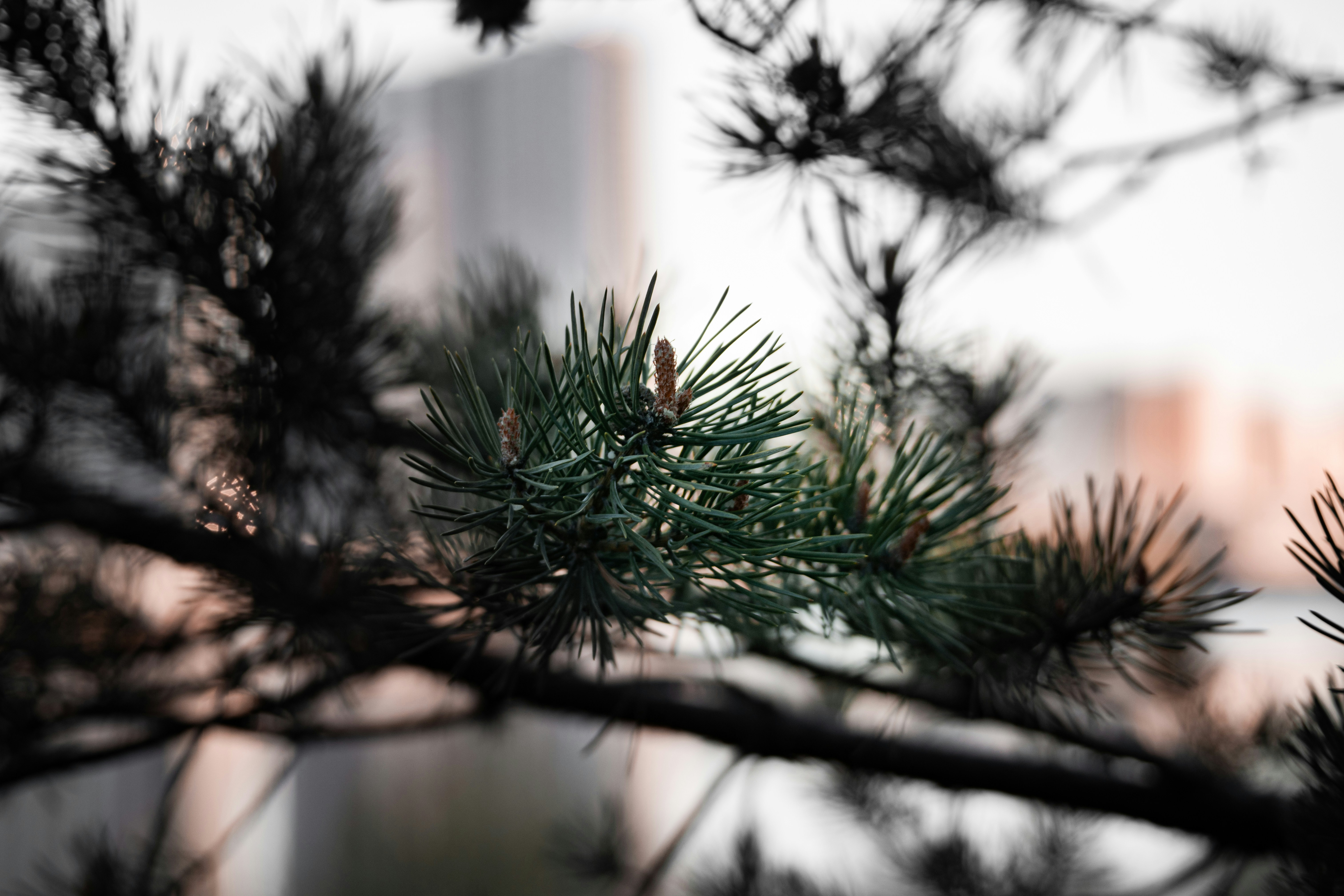 Photo by bobrov_ivan