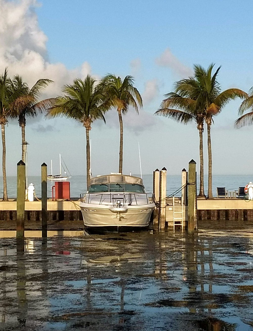 white and blue boat on dock during daytime