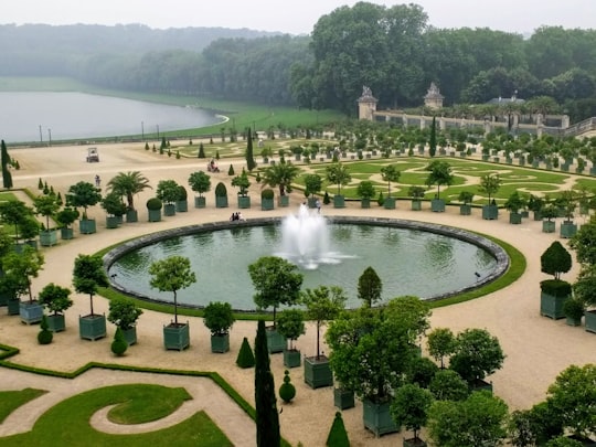 green trees and green grass field with fountain during daytime in Gardens of Versailles France