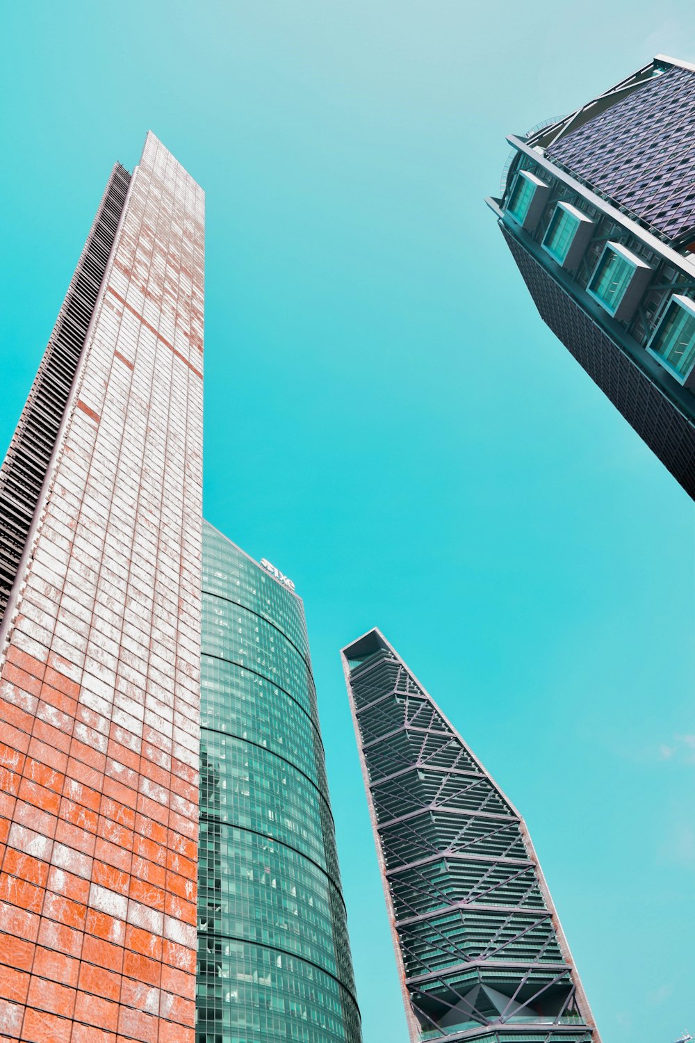 blue and brown concrete building