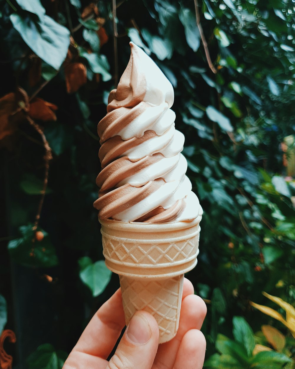 person holding ice cream cone