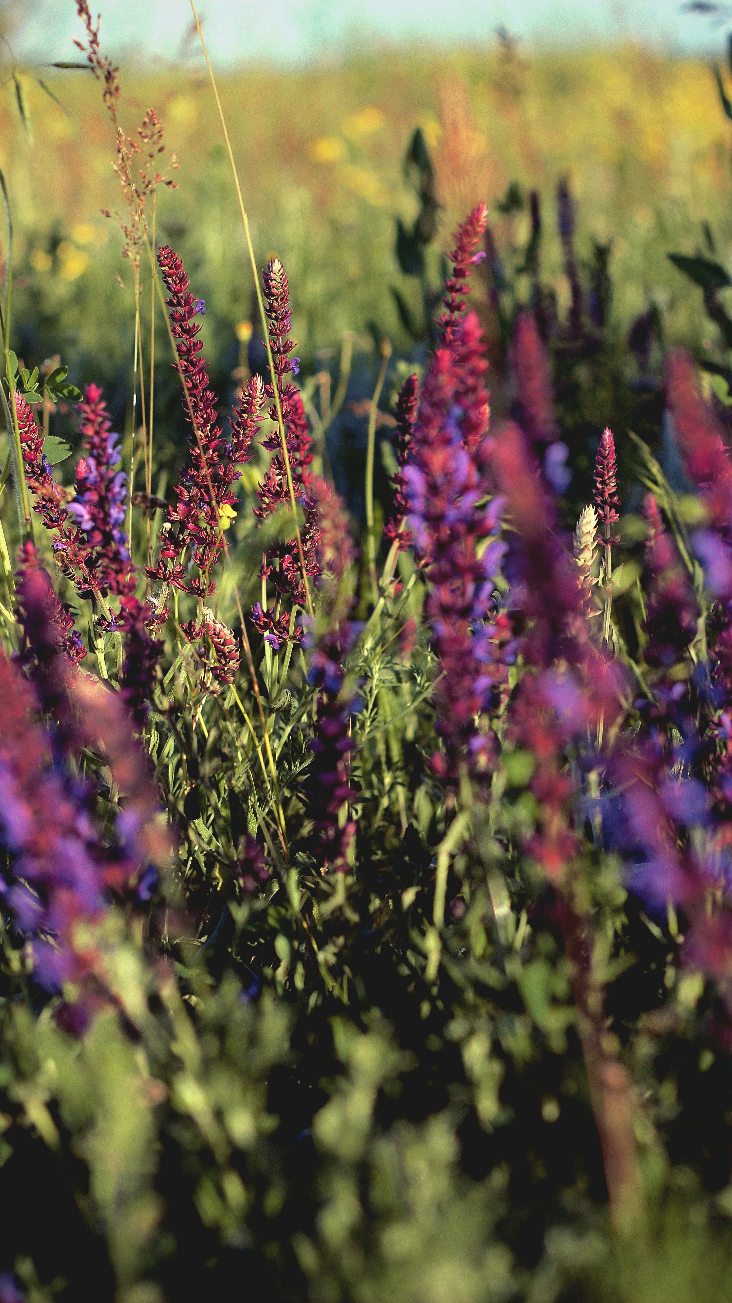 Photo by iamfrancismorgan