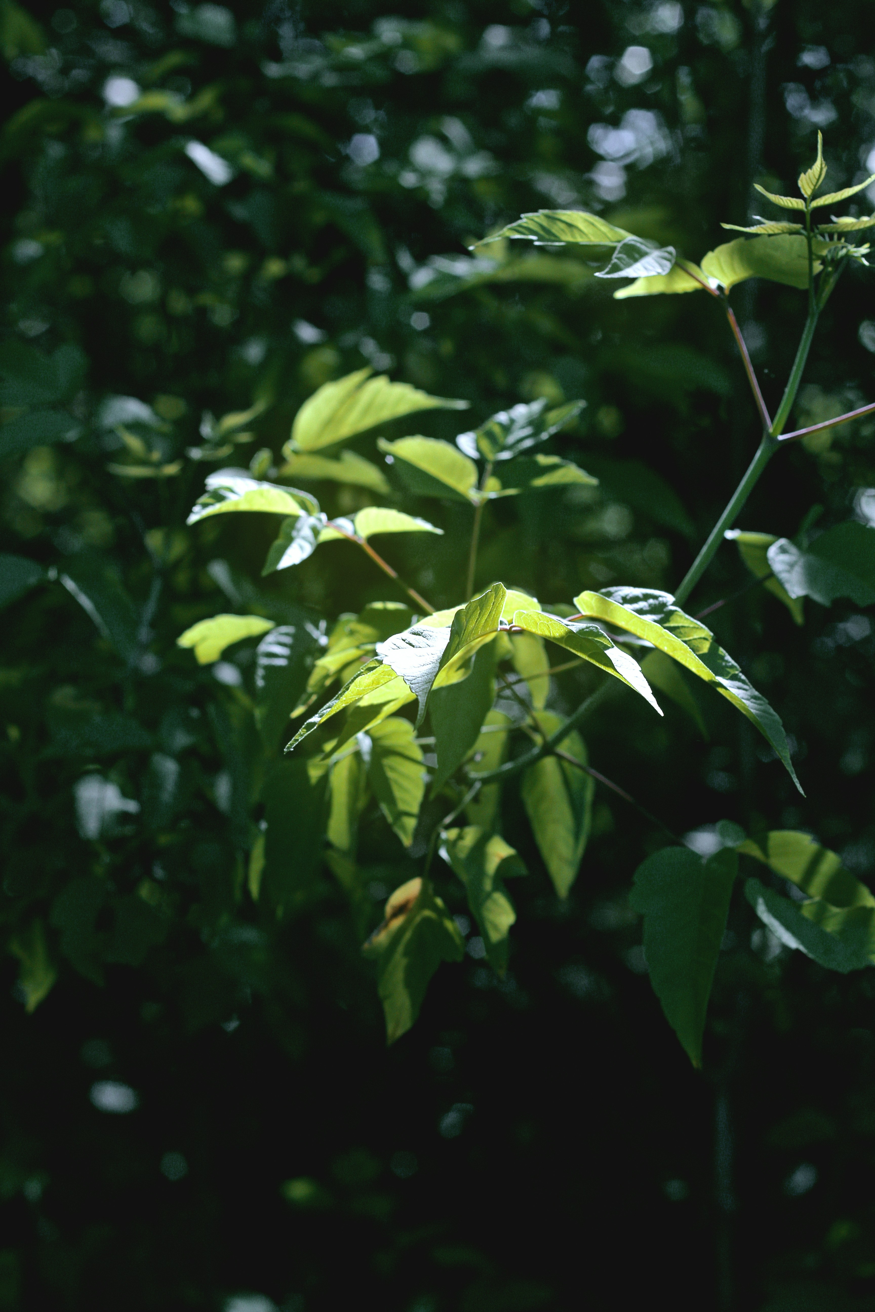 Photo by iamfrancismorgan