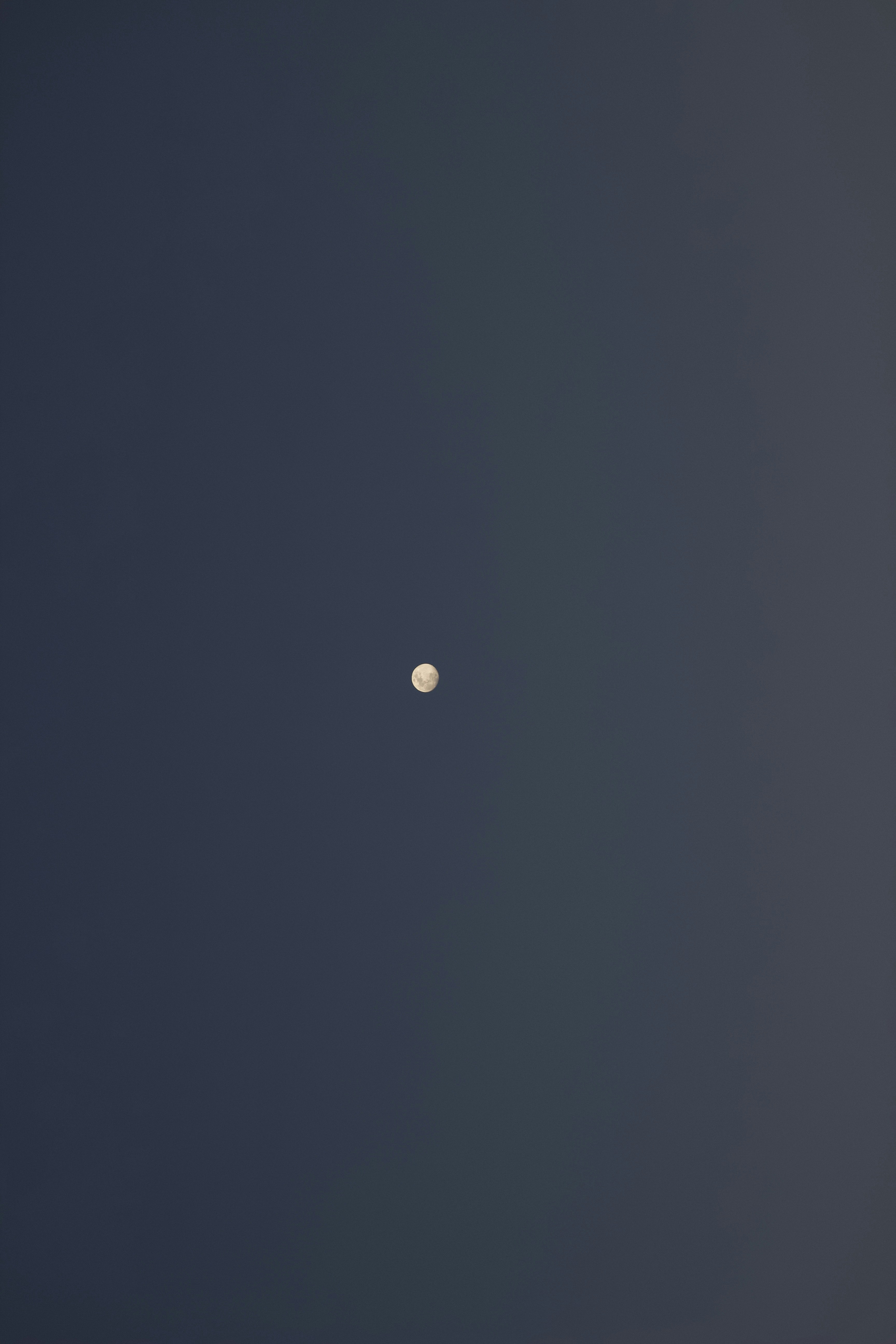 Photo by toriwisephoto