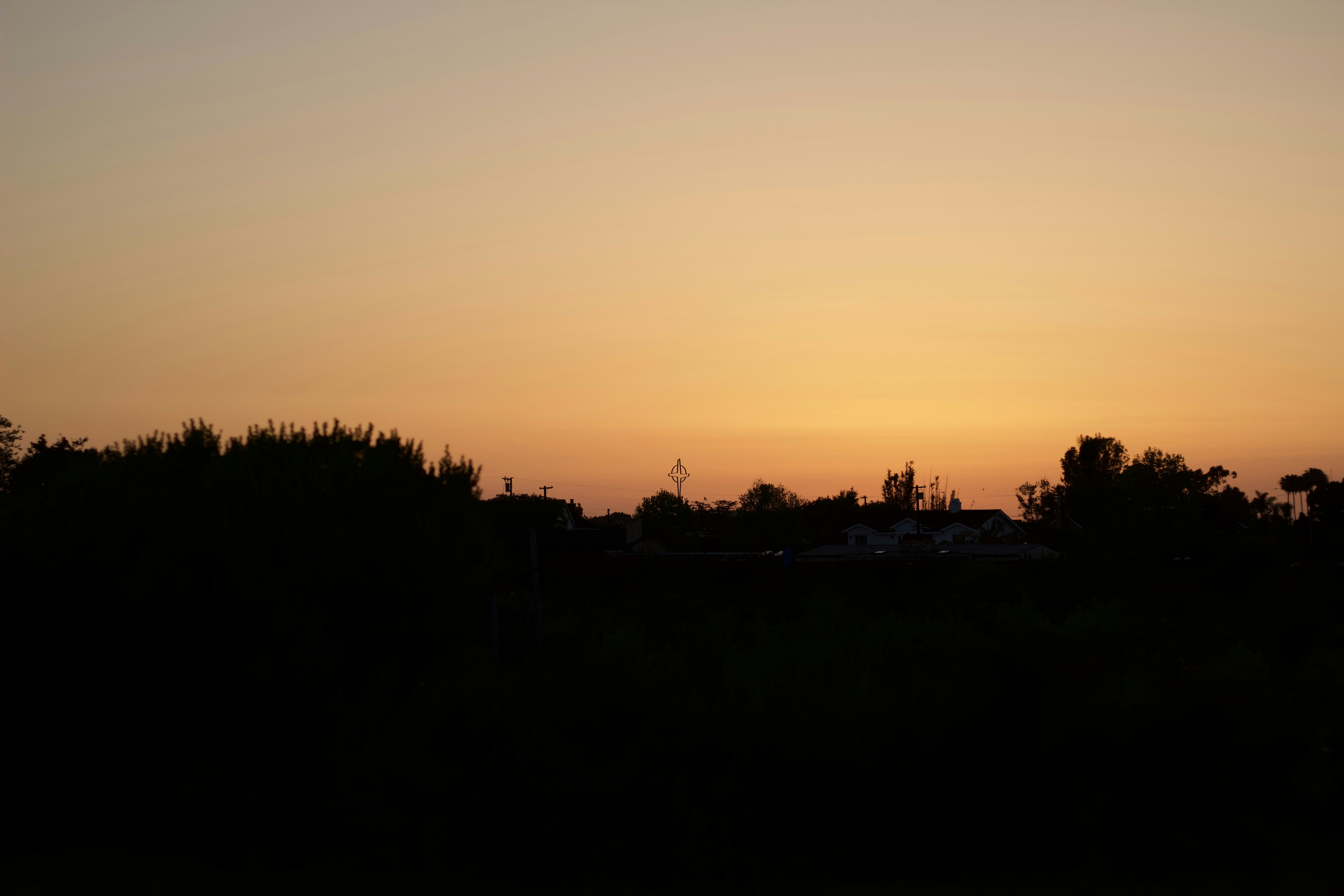 Photo by toriwisephoto