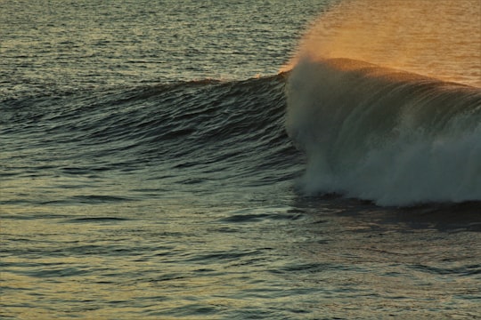 ocean waves crashing on shore during daytime in Port Alfred South Africa