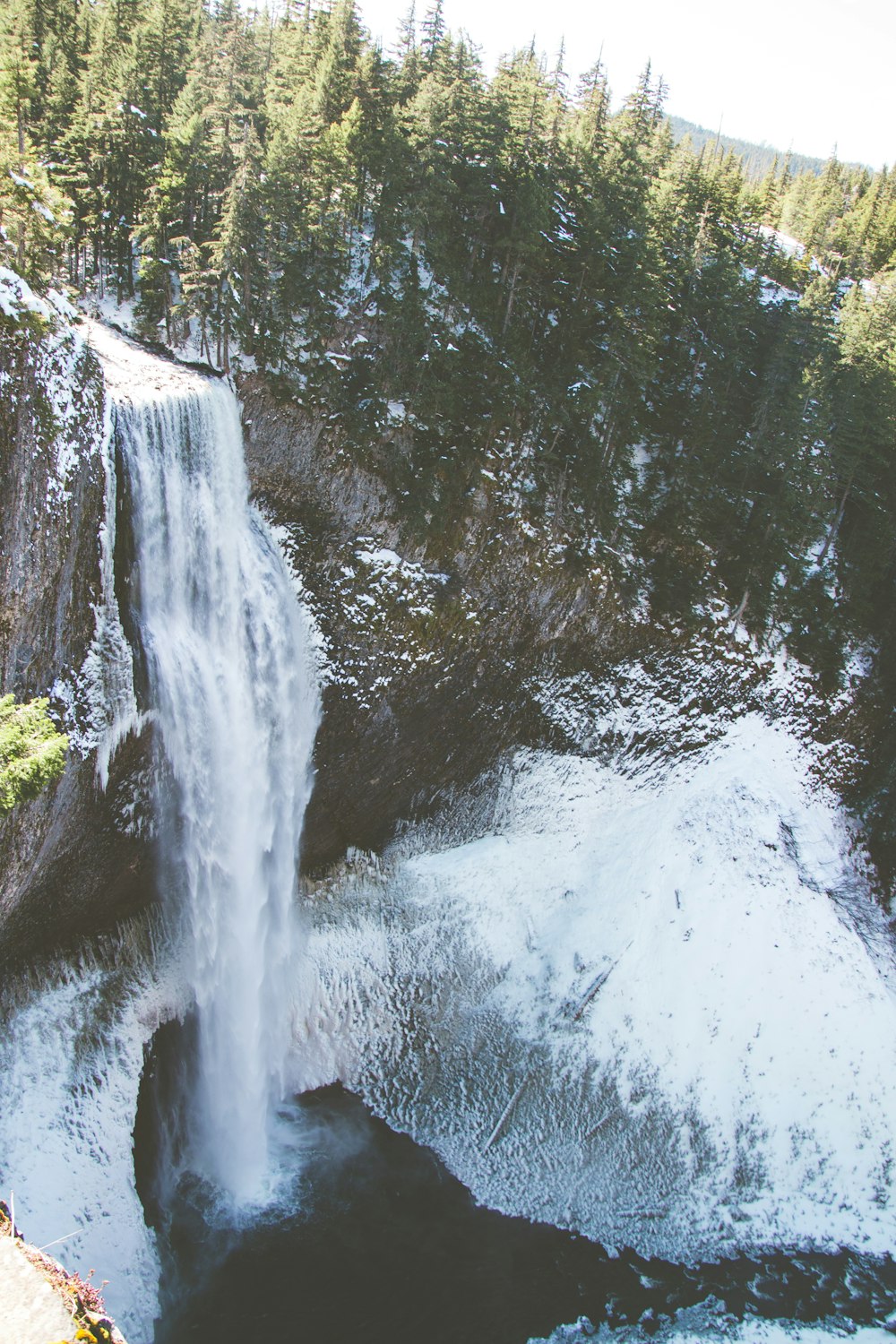 water falls in the middle of green trees