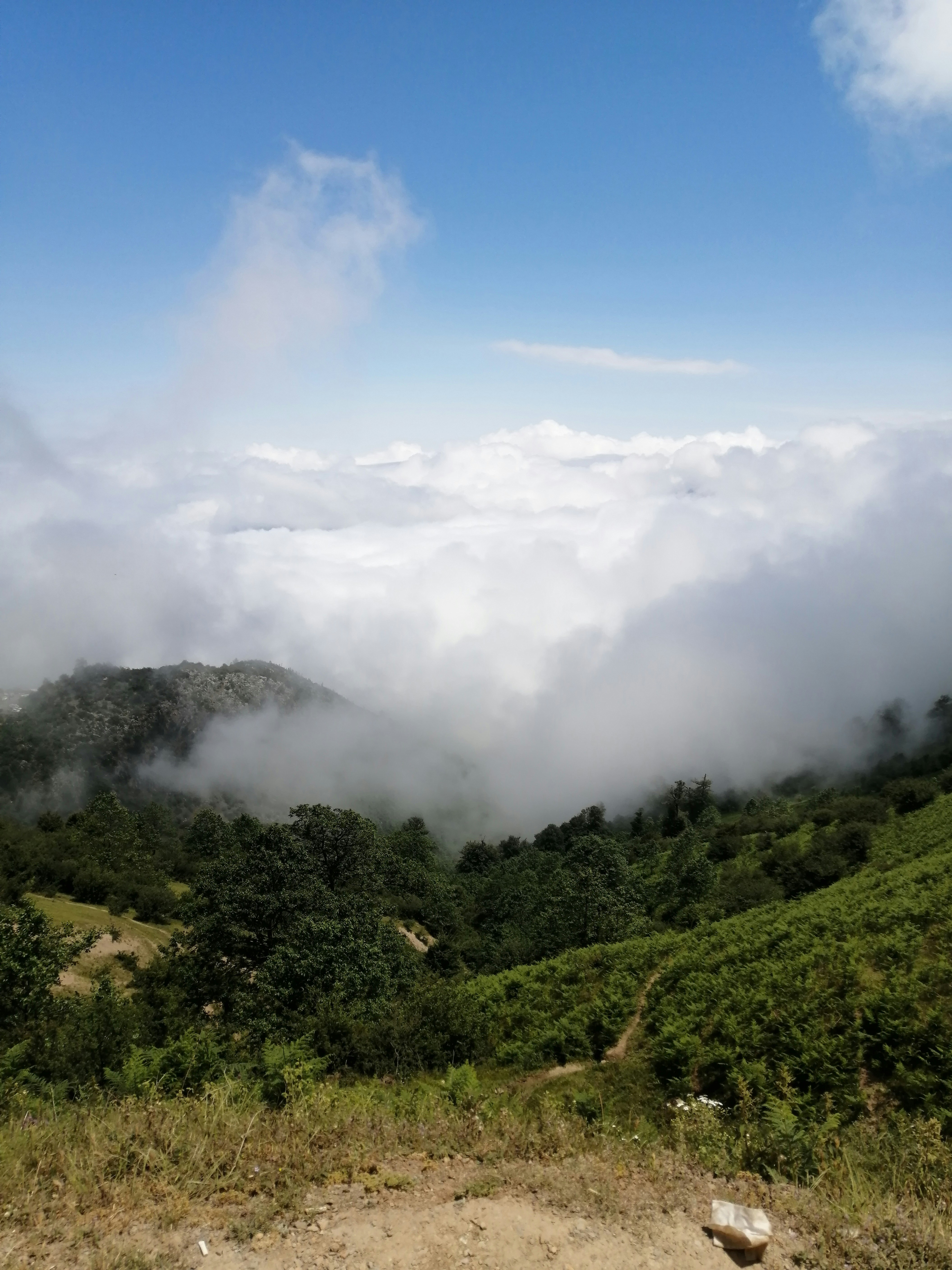 Photo by alireza2000sajedi