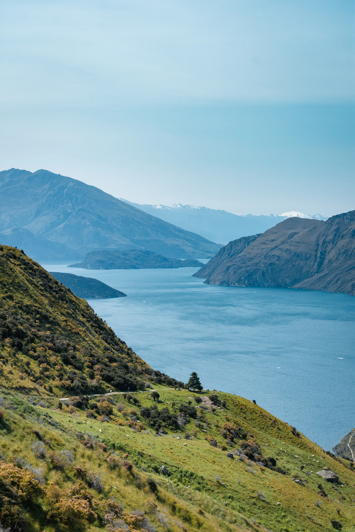 New Zealand experience