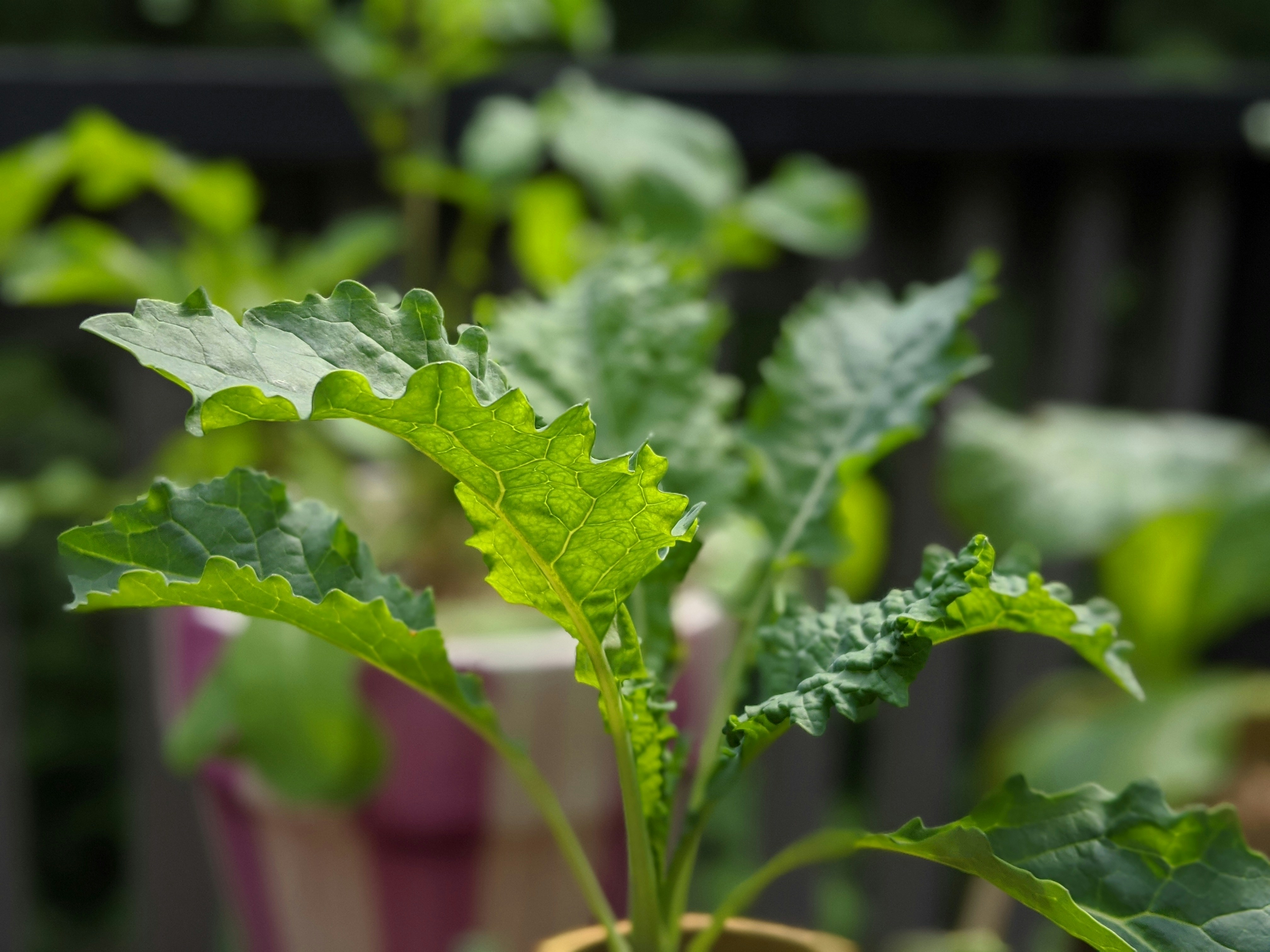 Photo by lauralefurgeysmith