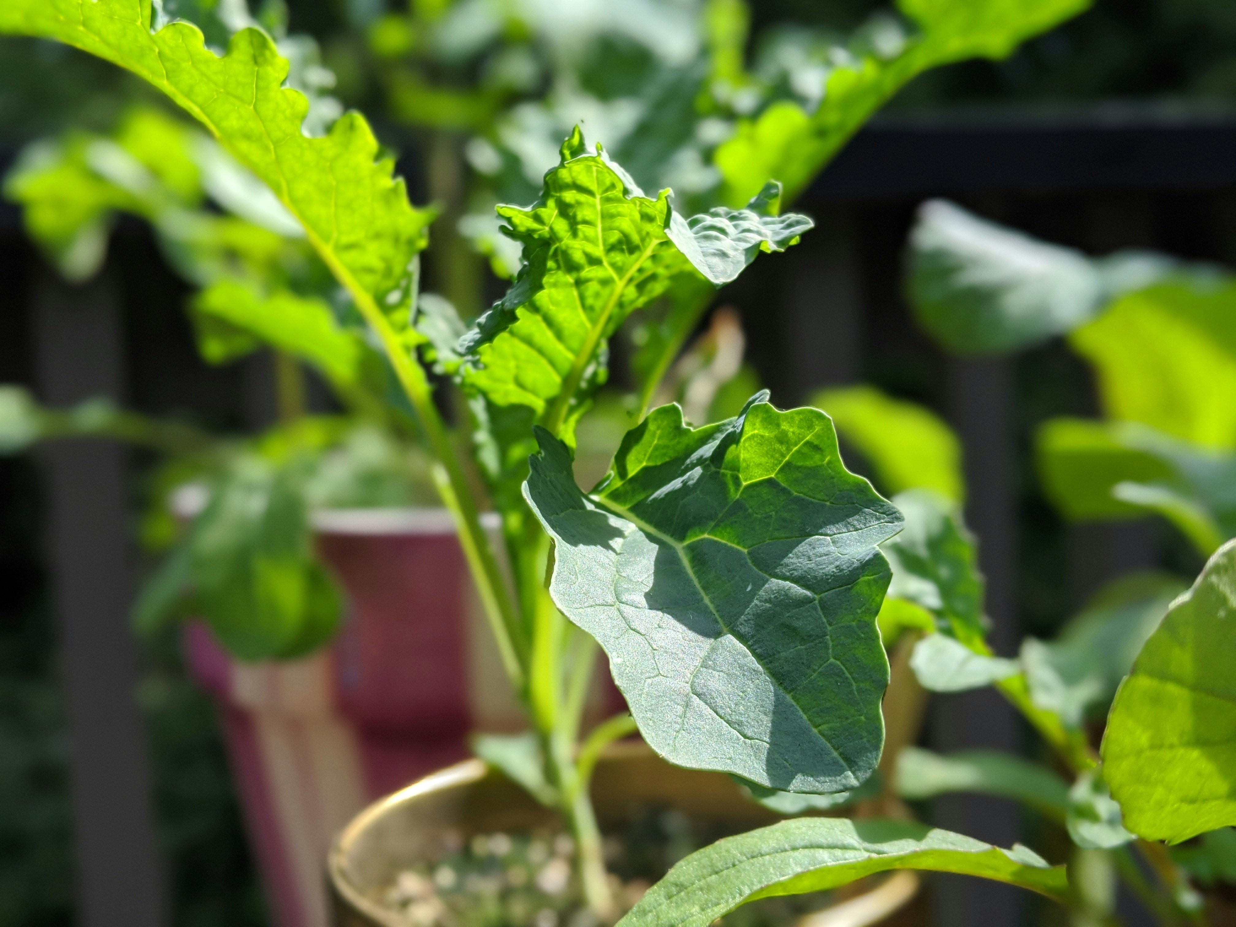 Photo by lauralefurgeysmith