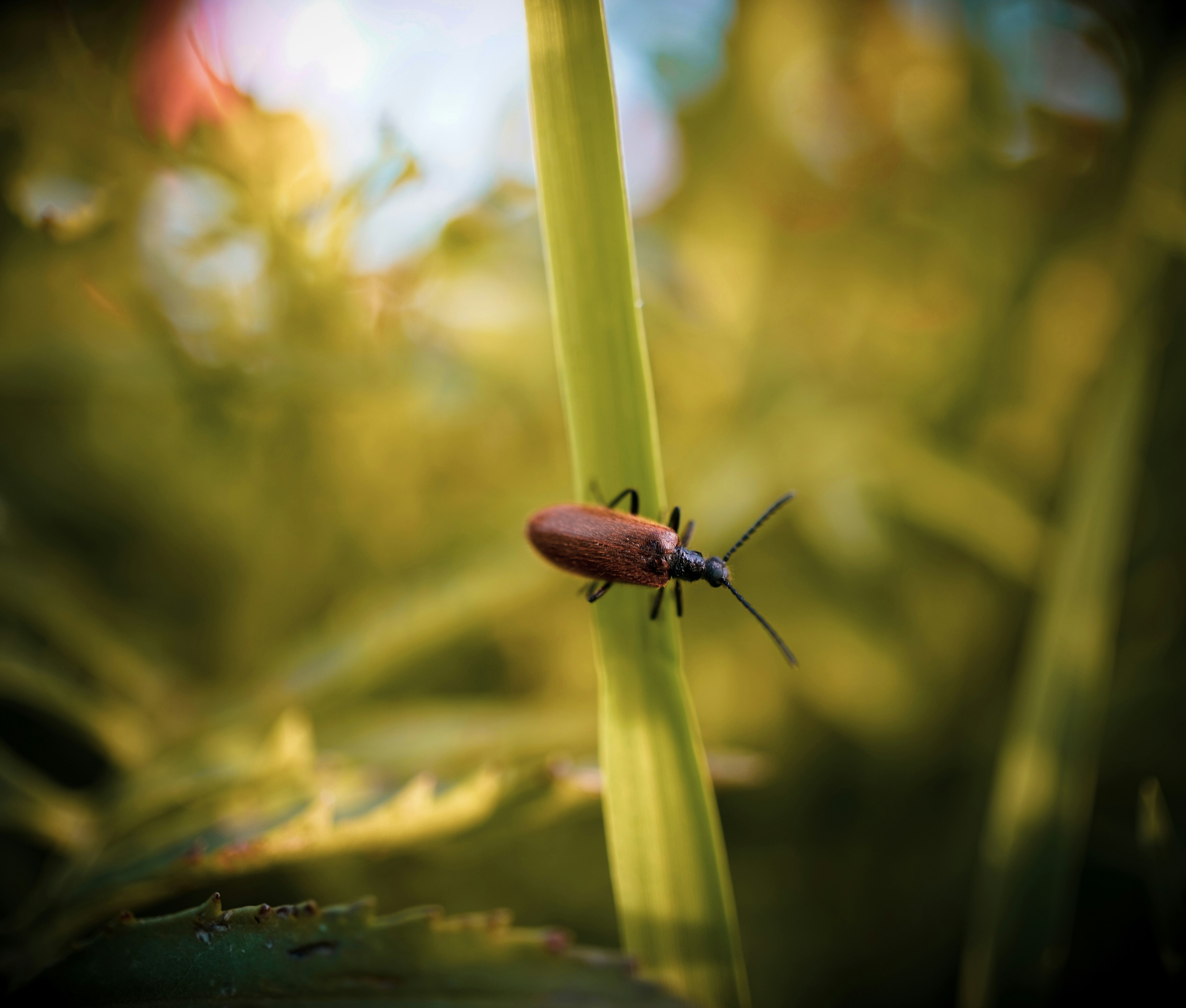 Photo by adamhilles