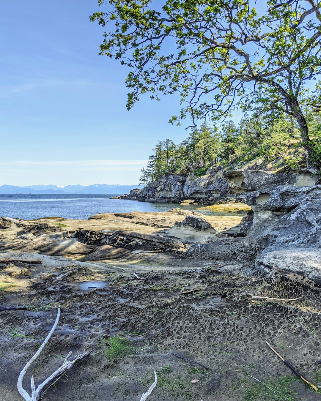 Shore photo spot Vancouver Island British Columbia