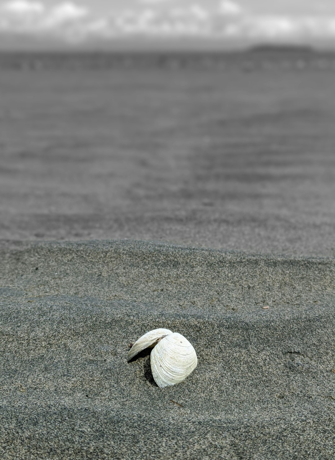 Beach photo spot Vancouver Island Tofino