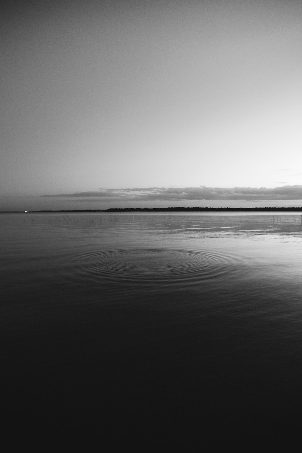 grayscale photo of body of water