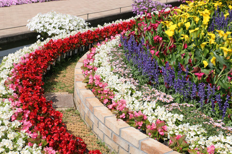 Illustrative garden photography for Weeding & garden beds