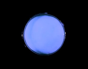 Close-up of a scientist examining a glowing petri dish in a modern lab