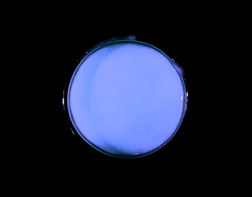 Dark sleek petri dishes with vibrant blue and purple peptide samples illuminated softly.