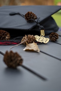 A globe surrounded by university brochures and a graduation cap on a clean navy blue background.