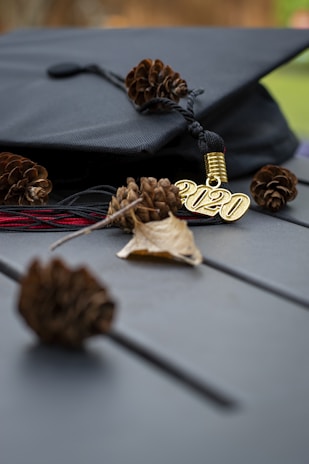 A black graduation cap with a gold '2020' tassel rests on a surface surrounded by small pine cones and a dry leaf. The scene appears to be set outdoors with a blurred green and brown background.