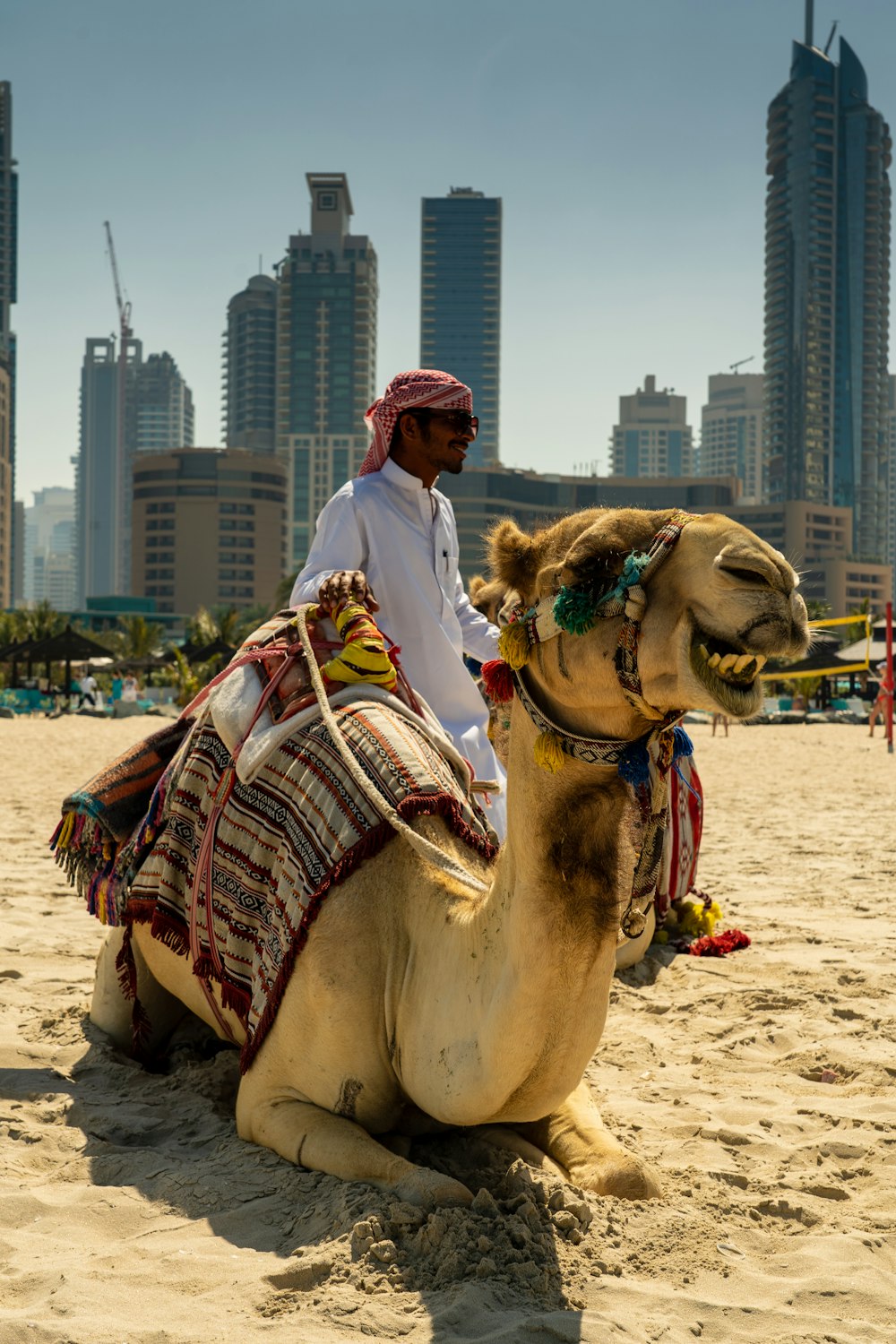 donna in hijab rosso e bianco che cavalca il cammello sulla sabbia marrone durante il giorno