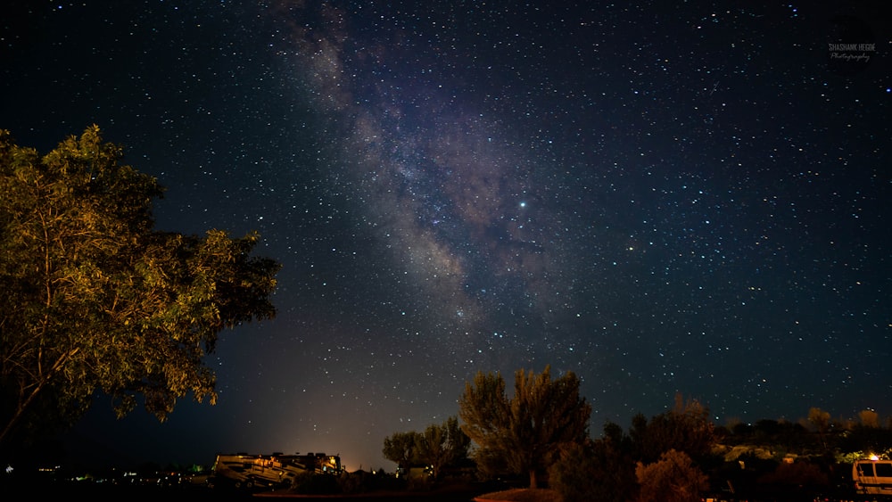 green trees under blue sky with stars during night time